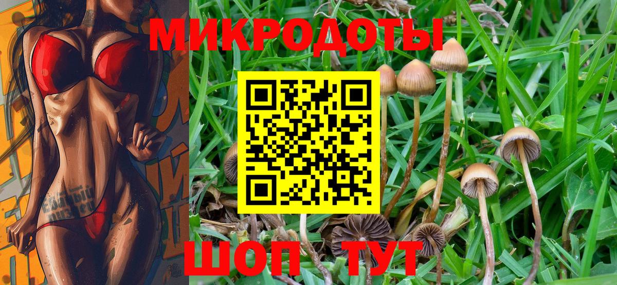 купить наркотик  Вход с VPN  Барабинск  Псилоцибиновые грибы GOLDEN TEACHER 